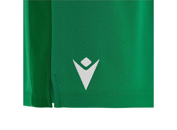 Platinum Eco Shorts W GRN/WHT S Treningshorts i Eco-tekstil- Dame 